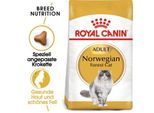 ROYAL CANIN Norwegian Forest Adult 10 kg