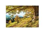 Monee Glasbild , Multicolor , Glas , rechteckig , 120x80 cm , Made in Europe , Fotografie , Bilder & Rahmen, Bilder, Glasbilder