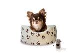 Rohrschneider ® Hundebett Silvio, mit Gratis-Kotbeutelset, S