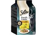 Sheba Fresh Cuisine Nassfutter Katze Adult, Multipack 36x50 g Taste of Rome