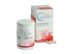 LACTOBACT 60plus magensaftresistente Kapseln 60 St