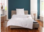 my home Microfaserbettdecke »Rike, Bettdecke 135x200 cm, 155x220 cm«, warm, Füllung Polyester, Bezug Polyester, (1 St.),...