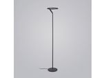 Helestra Elara LED-Stehlampe down dimmbar schwarz
