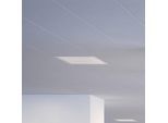 Regent Dime Office Deckenleuchte 36,6cm 12W 3.000K