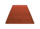 Novel Hochflorteppich , Terracotta , Textil , Uni , rechteckig , 300x400 cm , Oeko-Tex® Standard 100 , für Fußbodenheizung geeignet, schmutzabweisend, für Hausstauballergiker geeignet, lichtunempfindlich, antistatisch, pflegeleicht, strapazierfähig, leicht zusammenrollbar , Teppiche Und Böden, Teppiche, Hochflorteppiche & Shaggys