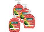 3x Flüssigseife Palmolive "HygienePlus" + 1 gratis