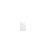 Flachbeutel 50µ 175x300 mm, 1000 St.