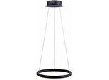 LED-Pendelleuchte TITUS, höhenverstellbar, stufenlos dimmbar, LED austauschbar, Ø 400 mm