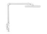 LED-Klemmleuchte MAULintro, Leistung 11 W, stufenlos dimmbar, um 360° drehbar, 920 lm, Klemmweite 63 mm, weiss