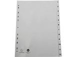 Register Exacompta 1912E, Format A4, Universallochung, Taben 1-12, B 225 x H 297 mm, Blauer Engel, Recycling-Kunststoff, grau