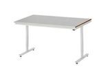 Rau Arbeitstisch Adlatus, elektrisch höhenverstellbar, 25 mm MDF-Platte, Edelstahlbelag, bis 150 kg, B 1500 x T 800 x H 720-1120 mm, silber/lichtgrau