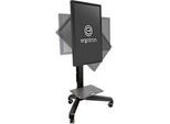 Monitorständer Ergotron Neo-Flex Mobile MediaCenter UHD 24-192-085, Bildschirme bis 54 kg, neig- & drehbar, höhenverstellbar, VESA, schwarz