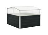 vidaXL Gewächshaus Anthrazit 100x100x77 cm Verzinkter Stahl