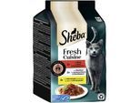 Sheba Fresh Cuisine Nassfutter Katze Adult, Multipack 36x50 g Taste of Paris
