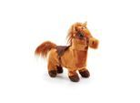 Happy Pets Walk Along Pony