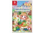Pretty Princess Magical Garden Island - Nintendo Switch - Virtual Life - PEGI 3