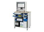 Rau Computer-Station mit Monitorengehäuse mobil BxTxH 1030x660x1810mm (07-2665.11)