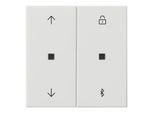 Gira Jalousie- + Schaltuhr Bluetooth Sys.55 rws 536703)