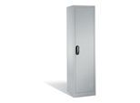 C+P Aktenschrank Acurado mit Drehtür, 5 Ordnerhöhen, H1950xB500xT500mm Front Lichtgrau Korpus Lichtgrau ; C + P Möbelsysteme (9235-000|S10193)