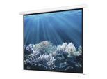 Magnetoplan Elektrische Leinwand Standard, 2400 x 1800 mm, 4:3 (6343943)