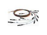 Telegärtner LWL Pigtail-Set 12LC G50 OM4 TN-PS-12LC-50-OM4 (100011730)