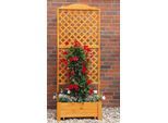 promadino Spalier »Romantica«, mit Pflanzkasten, BxTxH: 80x38x210 cm