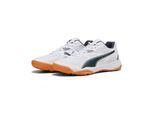 PUMA Hallenschuh »SOLARFLASH II«