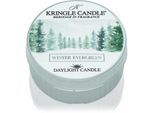 Kringle Candle Winter Evergreen theelichtje 42 gr