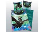 Herding Jugendbettwäsche Dragons, Mehrfarbig, Textil, 135x200 cm, Oeko-Tex® Standard 100, atmungsaktiv, hautfreundlich, angenehm wärmend, saugfähig, schadstoffgeprüft, 100% feinster Baumwollsatin mit Seiden-Finish, weiche und anschmiegsame Oberfläche, Schlaftextilien, Bettwäsche, Kinderbettwäsche