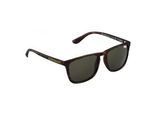 Sonnenbrille Superdry Shockwave