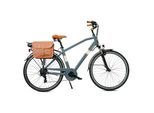 Via Veneto Elektro-Citybike MONOTUBO CLASSIC Man 28 Zoll, grau