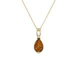 Kette mit Anhänger LUIGI MERANO "Anhänger mit Bernstein, Gold 375", braun, Halsketten, Damen, 45cm, Gelbgold 375