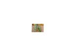floraworld Splittstab natur, Durchmesser 4-4,5mm 50cm 10er Bund (010980)
