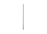 floraworld Dunggabelstiel Esche 1350/36 mm FW (018881)