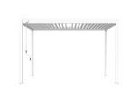 Weide Pergola , Metall , 400x255x300 cm , Gartenmöbel, Loungemöbel