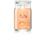 Yankee Candle Mango Ice Cream geurkaars Signature 567 g