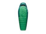 sea to summit Mumienschlafsack »Ascent -1C/30F L«
