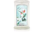 Kringle Candle Snowbird geurkaars 624 gr
