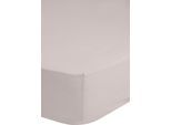 Spannbettlaken GOOD MORNING "Renforcé Good Morning", beige (sand), B:90cm L:200cm, Renforcé, Obermaterial: 100% Baumwolle, Bettlaken, Spannbettlaken, 100% Baumwolle, Renforcé, Rundumgummi, bis 25 cm höhe, 80x200, Weiß