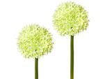 Kunstblume CREATIV GREEN, grün, H:65cm, Kunststoff, Kunstpflanzen, 2er Set