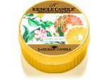 Kringle Candle Essentials theelichtje 42 gr