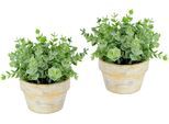 Kunstpflanze I.GE.A. "Künstlicher Eukalyptus im Topf 2er Set Pflanze", grün, B:16cm H:15cm L:16cm, Kunststoff, Kunstpflanzen, Kunstpflanze, Deko Blume für Hochzeit Plastikpflanze Kräuter Deko-Kräuter