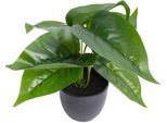 Künstliche Zimmerpflanze BOTANIC-HAUS "Philodendron", grün, B:28cm H:24cm T:28cm Ø:28cm, Kunststoff, Kunstpflanzen, Künstliche Zimmerpflanze