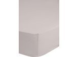 Spannbettlaken GOOD MORNING "Renforcé Good Morning", beige (sand), B:140cm L:200cm, Renforcé, Obermaterial: 100% Baumwolle, Bettlaken, Spannbettlaken, 100% Baumwolle, Renforcé, Rundumgummi, bis 25 cm höhe, 80x200, Weiß