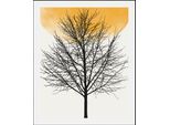 queence Bild »Bloom«, Baum-Baumbilder-Pflanzen-Pflanzenbilder-Sonnenaufgang, (1 St.), gerahmt