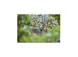 Gardena Regulierbarer Endtropfer 0-15 l/h MDS Inhalt: 10 Stück (13305-20)