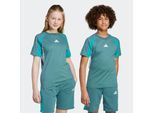 adidas Sportswear T-Shirt »J CB T«
