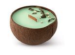 Tropicandle Green Tea geurkaars met een houten lont 350 ml