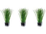 Kunstgras CREATIV GREEN "Gras im Glas", grün, B:6cm H:23cm L:6cm, Obermaterial: 100% Polyethylen, Kunstpflanzen