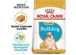 ROYAL CANIN Bulldog Puppy 12 kg